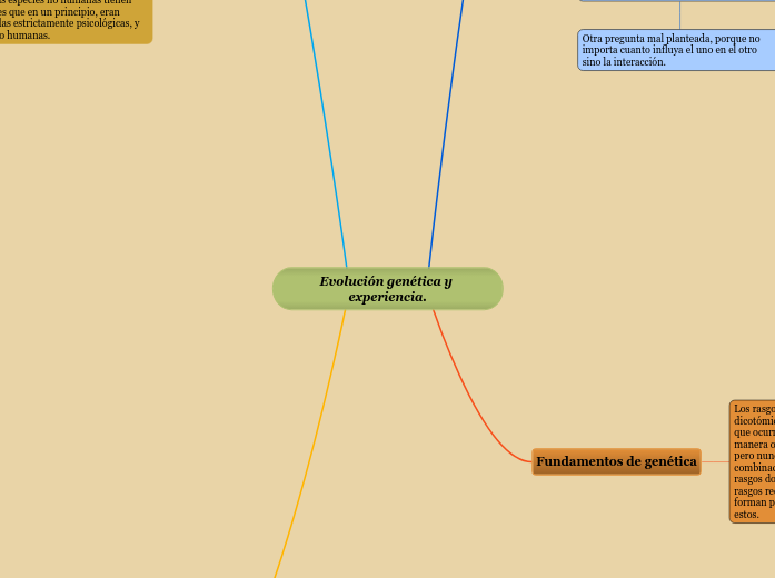 Evoluci n Gen tica Y Experiencia Mind Map